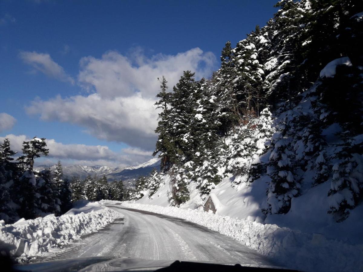 Kedros Chalet Agios Dimitrios  Buitenkant foto