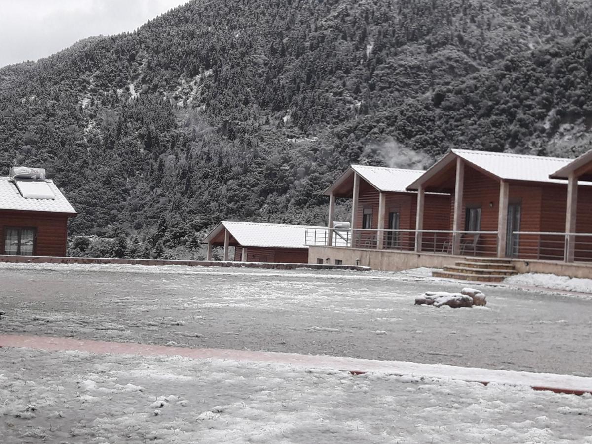 Kedros Chalet Agios Dimitrios  Buitenkant foto